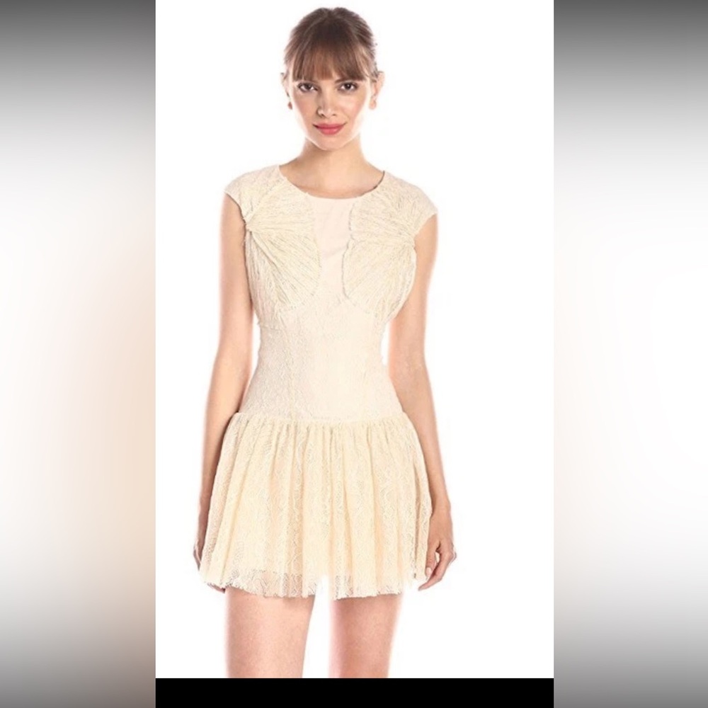 Ark & Co ivory lace and sheer mini dress Sz M NEW romantic fairycore